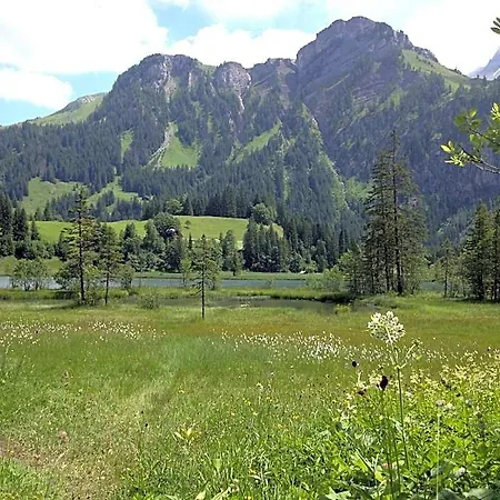 Panorama 4*