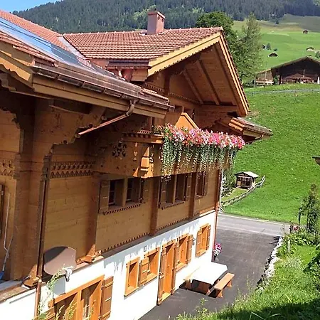 Panorama 4*