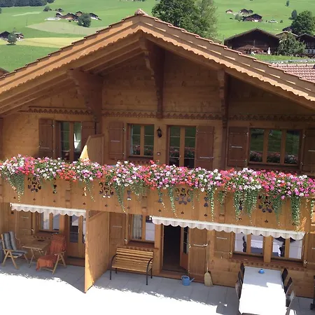 Panorama 4* Gstaad